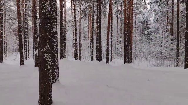 Мотобуксировщик НЕВА МС1-ZS (GB225) Обкатка. (1) смотреть онлайн