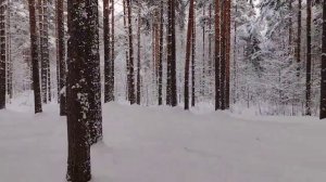 Мотобуксировщик НЕВА МС1-ZS (GB225) Обкатка. (1)