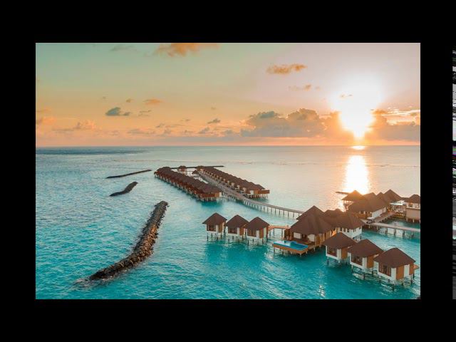 Every Step Silent Partner смотреть онлайн