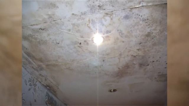 Комментарий Ларисы Кожевиной об устранении недостатков в ремонте кровли смотреть онлайн
