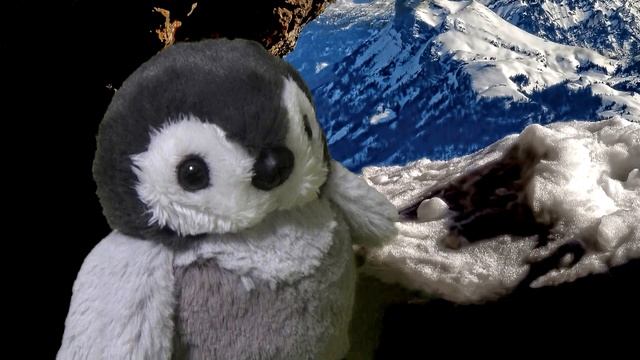 Sad Penguin learning to play shogi (1) - Origin story смотреть онлайн