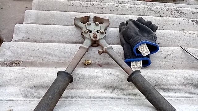 Эдильбаевские овцы,, (стрижка,)