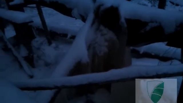 Зеленый Фронт: слив технической воды с карьера в лес смотреть онлайн