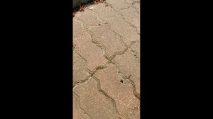 Гидрофобизация Брусчатки ФЭМ