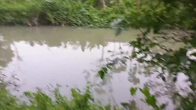 public agent #publicagent vlog 2 смотреть онлайн