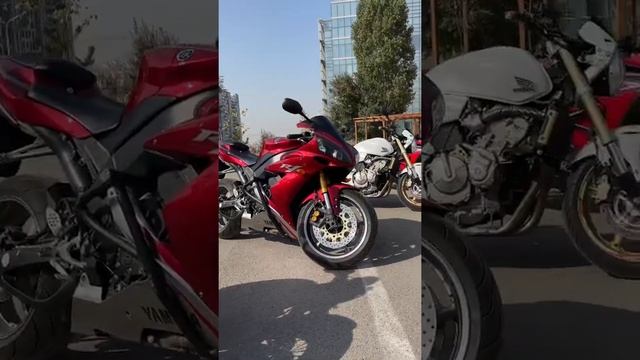 Это что за Анаконда???? смотреть онлайн