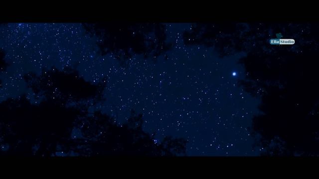 KUTROWATZ KLAVIER DUO - PHILIP GLASS, Four Movements for Two Pianos, Burg Schlaining 2014 Live смотреть онлайн