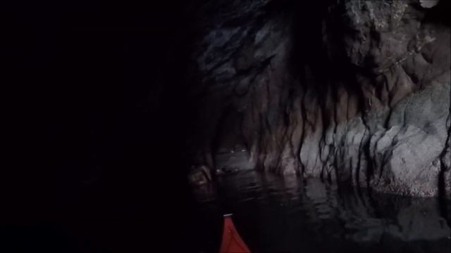 Bass Rock cave seals смотреть онлайн