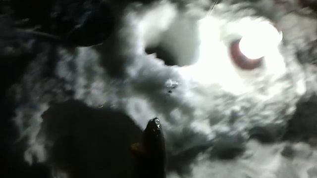 Налимы на жерлицы / Burbot on the imitation fish смотреть онлайн