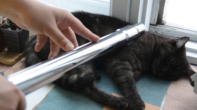 My Cat Vs. Vacuum Cleaner/ Кошка НЕпротив пылесоса.