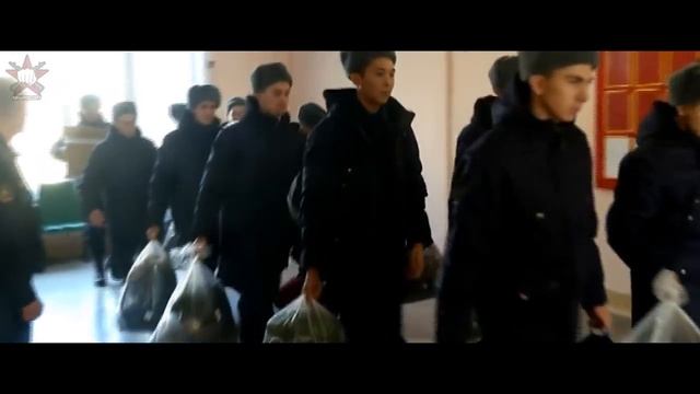 Куда возьмут с категорией годности Б3 и Б4? смотреть онлайн