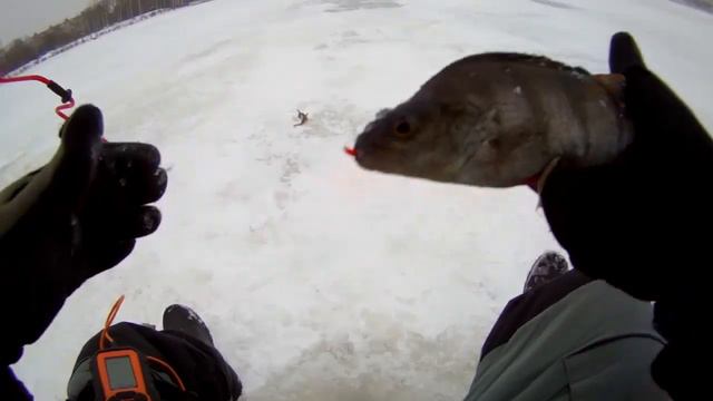 ЗИМНЯЯ РЫБАЛКА В МОРОЗ И МЕТЕЛЬ В ДЕКАБРЕ. ЛОВЛЯ КРУПНОГО ОКУНЯ. ХИМКИНСКОЕ ВОДОХРАНИЛИЩЕ. смотреть онлайн
