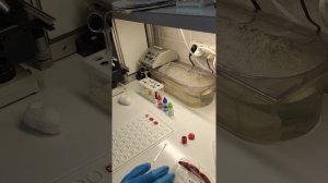 Определение группы крови и проба на совместимость