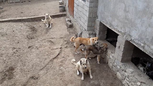 Традиционно ПРОЩАЕМСЯ на месяц! смотреть онлайн