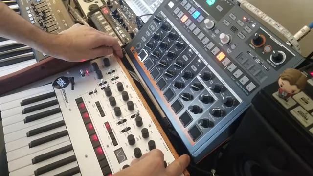 Hitting Switches - Shelfblack - Korg Monologue Synthesizer Jam смотреть онлайн