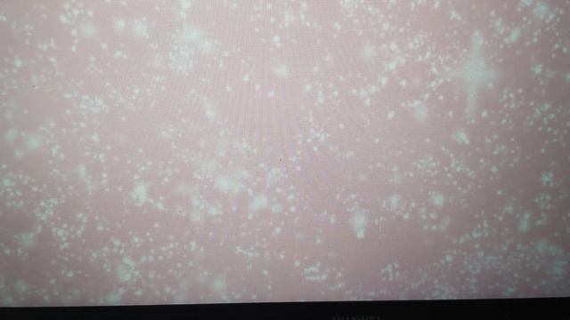 Биология 9 класс §32 Значение фотосинтеза и биологического круговорота веществ в развитии жизни смотреть онлайн