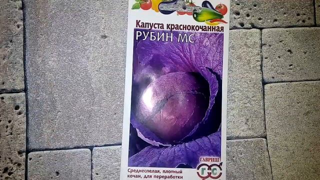 Капуста краснокочанная Рубин МС - ознакомление смотреть онлайн