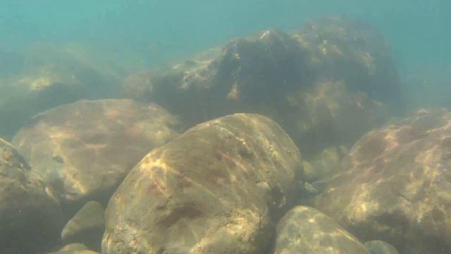 Купания возле Квариати смотреть онлайн