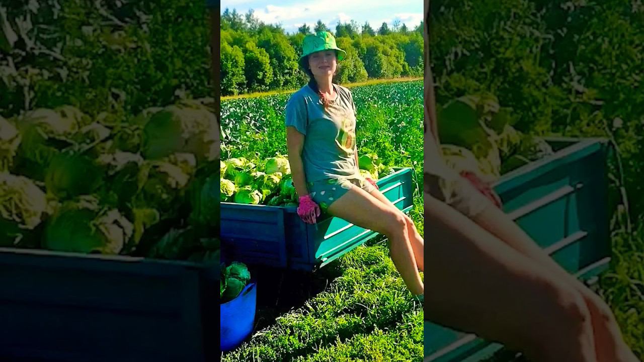 КАК ЛЮДИ ЖИВУТ В ДЕРЕВНЕ #деревня #хутор #огород смотреть онлайн