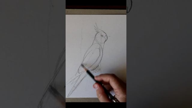 Попугайчик карандашом. Kazyava Art смотреть онлайн