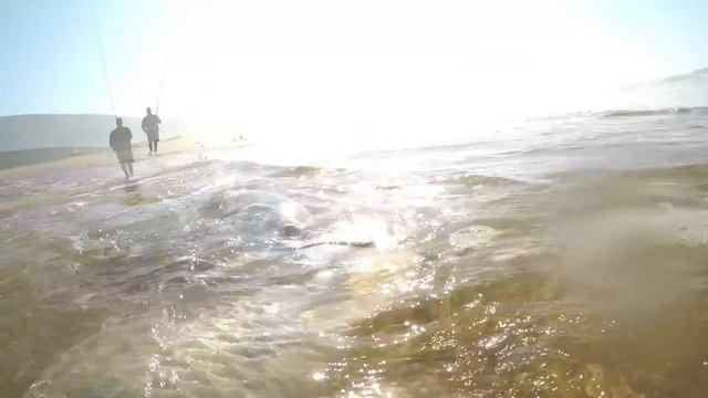 Fishing for the elusive White Steenbras. Sneaky Secret bait reveal. смотреть онлайн