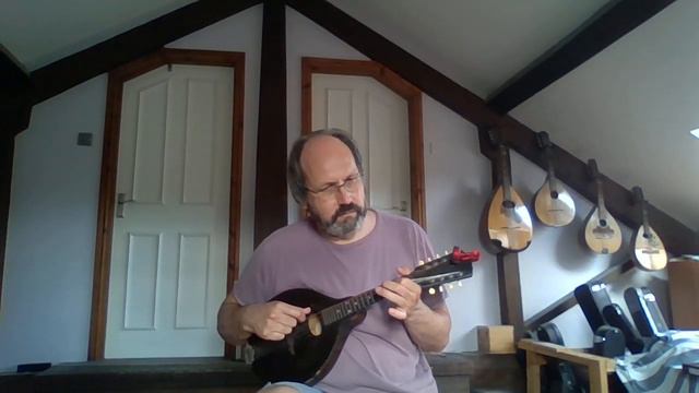 Arran Boat Song (Scottish air), mandolin quartet смотреть онлайн