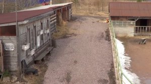 Мотороллер Муравей, меняю масло в кпп двигателя.