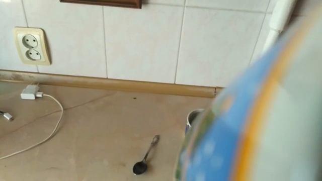 Как вытереть мочю собаки смотреть онлайн