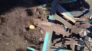 Самодельная картофелекопалка без грохота