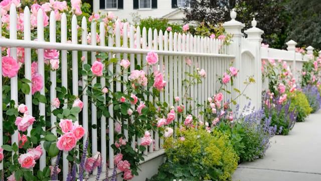 Пой Аллилуйя Господу смотреть онлайн