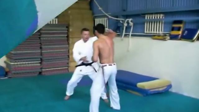 Айкидо и Капоэйра смотреть онлайн