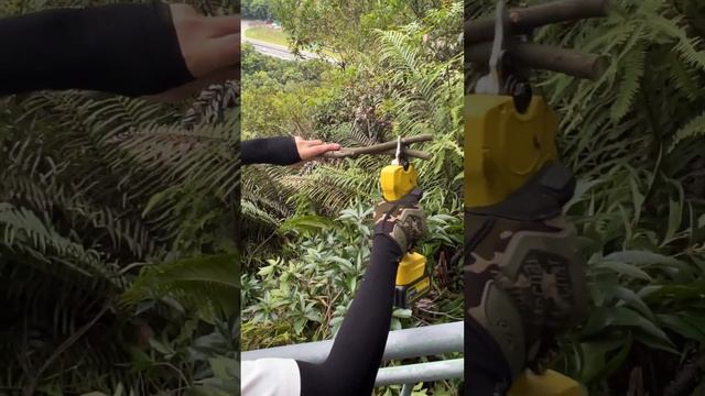 IMOUMLIVE Electric Pruning Shears смотреть онлайн