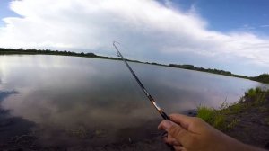 ОКУНЬ НА ПОППЕР! ЗРЕЛИЩНАЯ РЫБАЛКА НА ПОВЕРХНОСТНЫЕ ПРИМАНКИ!