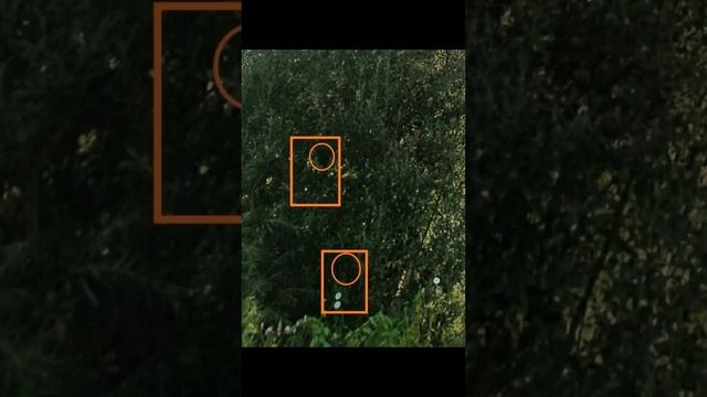 Дракон или чужие среди нас ?? смотреть онлайн
