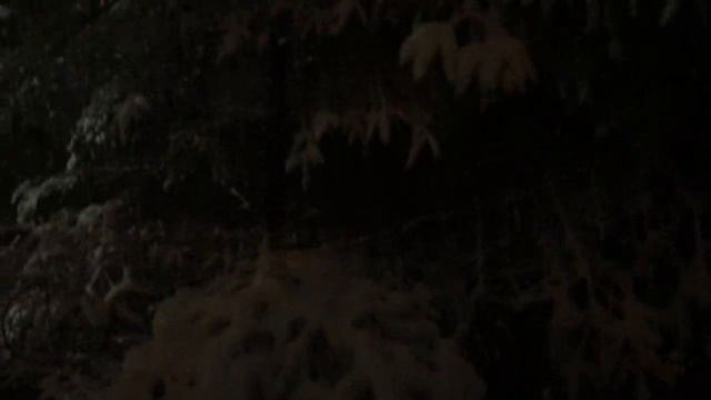 Ночной город в снегу смотреть онлайн
