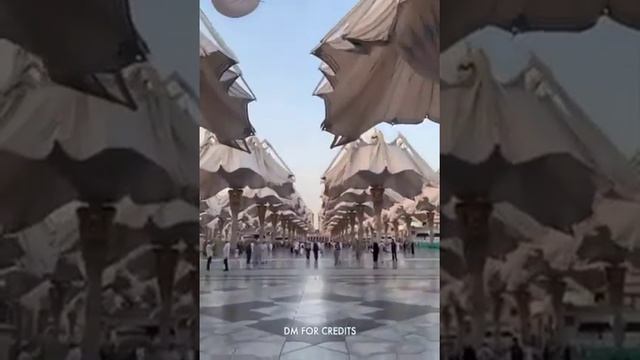Самое интересное видео в мире Топ интересного видео смотреть онлайн