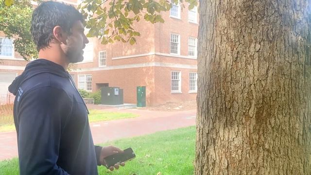 Allegory of the Cave Project смотреть онлайн