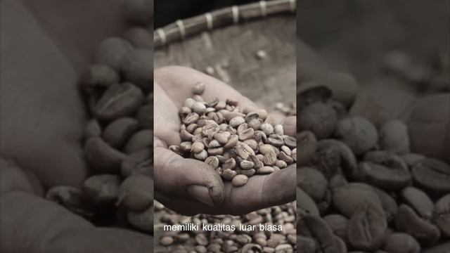 KOPI CITA RASA ORANG BETAWI смотреть онлайн