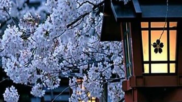 Sono Mari  Night Dreams