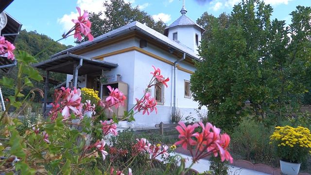 Clip Matei Gabriel *ZOOM ART FOTO VIDEO* смотреть онлайн