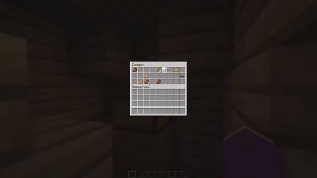 5 САМЫХ РЕДКИХ СИДОВ МАЙНКРАФТ 1.16-1.17 | СПАВНЕР СВИНЕЙ смотреть онлайн