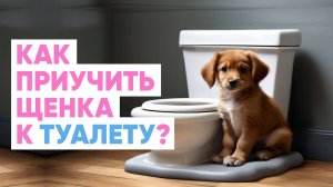 Щенок ПИСАЕТ и ГАДИТ где попало. Как ПРИУЧИТЬ собаку К ТУАЛЕТУ на пеленку или в лоток? 🧻🐶