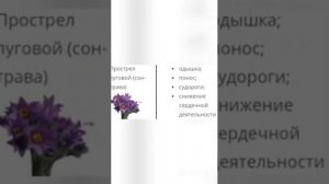 Какую траву нельзя кроликам
