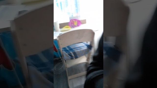 11 ноября 2023 г.