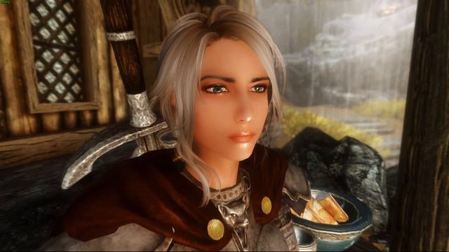 002 - MODS Followers Skyrim (30 Followers - 4 NPC's or PNJ) - PC MODS. смотреть онлайн