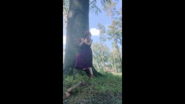 greensleeves on irish flute смотреть онлайн