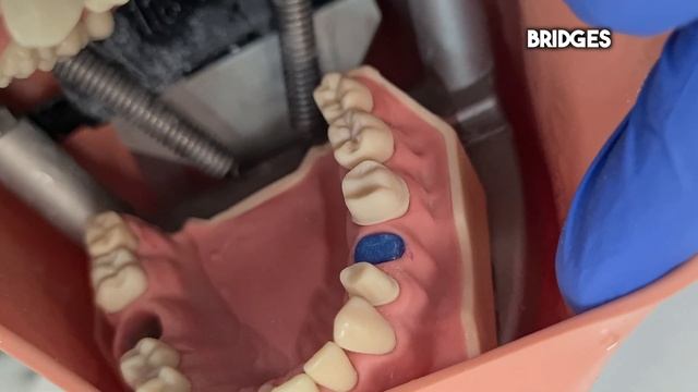 Day in the Life of a Medical Student vs Dental Student смотреть онлайн