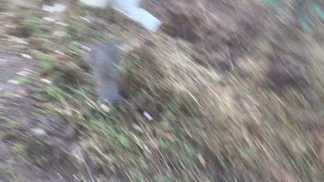 Шкода фабия 2002 год смотреть онлайн