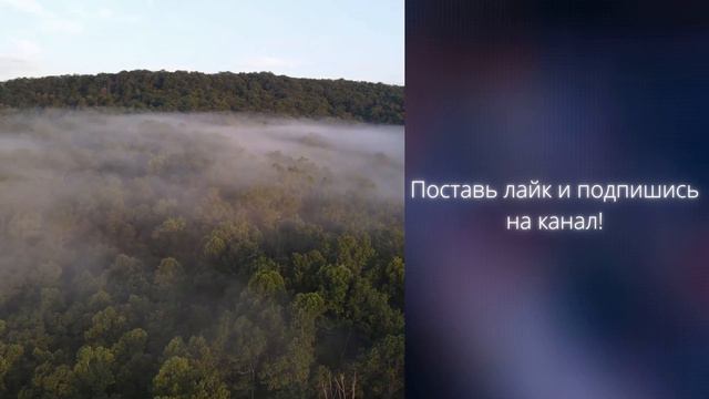 Дуа о прощении грехов | Шейх Абу Яхья смотреть онлайн