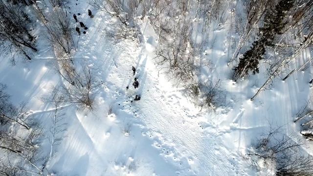 Рыбаки  на сибирской реке Нанкпёх. г. Ноябрьск